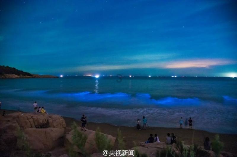 探秘万相之王的奇幻领地：比奇省的神秘世界！